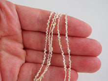 画像をギャラリービューアに読み込む, 4.木漏れ日