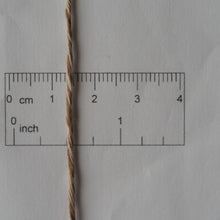 Load image into Gallery viewer, プリズモ 100g