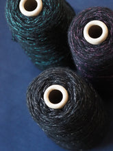 画像をギャラリービューアに読み込む, オリオン座